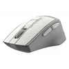 Мышь A4Tech Fstyler FG30S белый/серый оптическая (2000dpi) silent беспроводная USB (6but) Мышь A4Tech Fstyler FG30S белый/серый оптическая (2000dpi) silent беспроводная USB (6but)